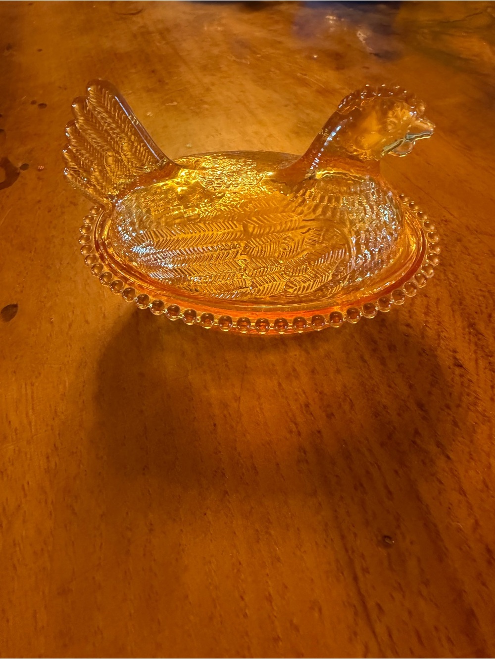 Amber hen on Nest acrylic 5” NOT GLASS
